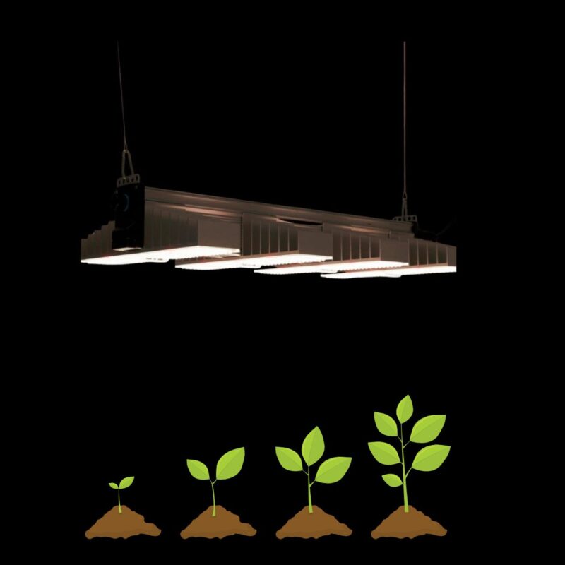 grow led 1